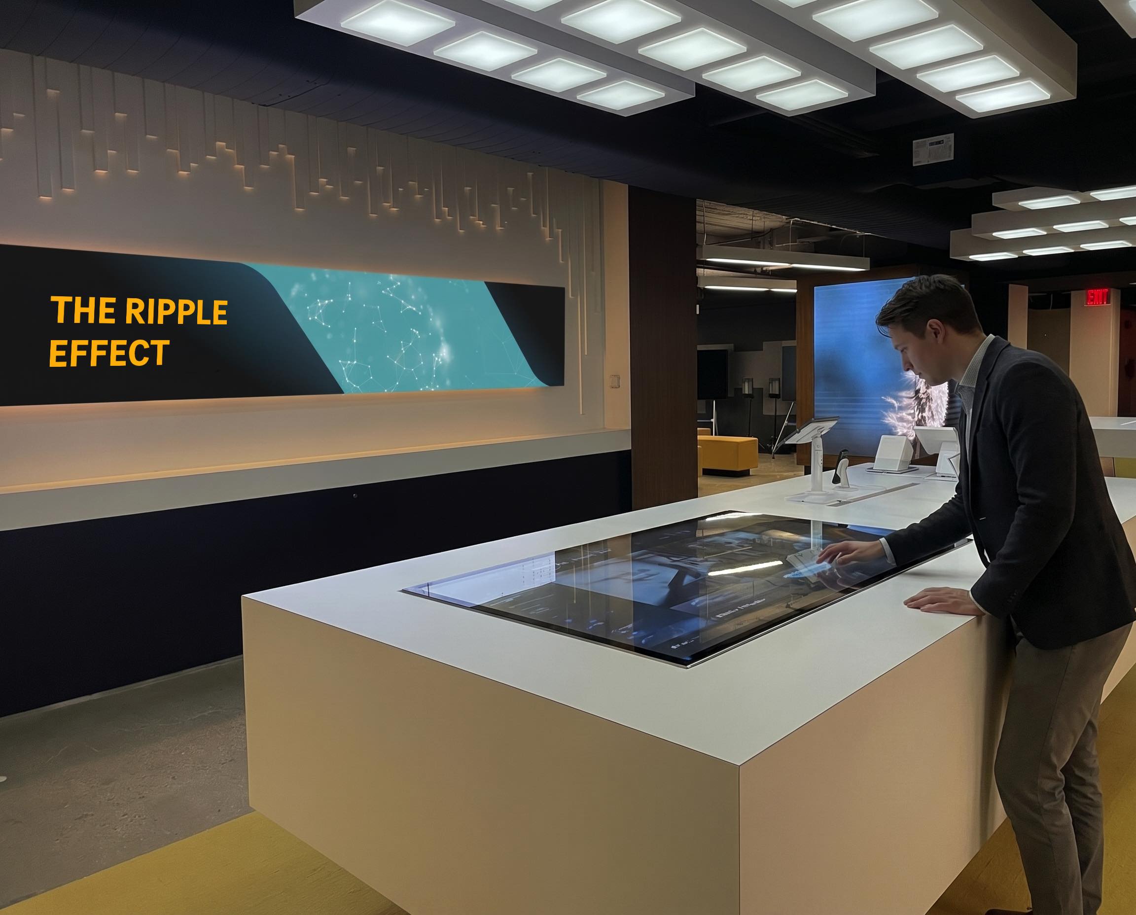 Experience to drive business project
