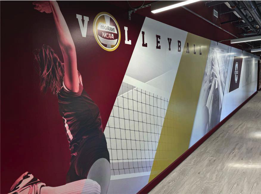 TD Arena renovation