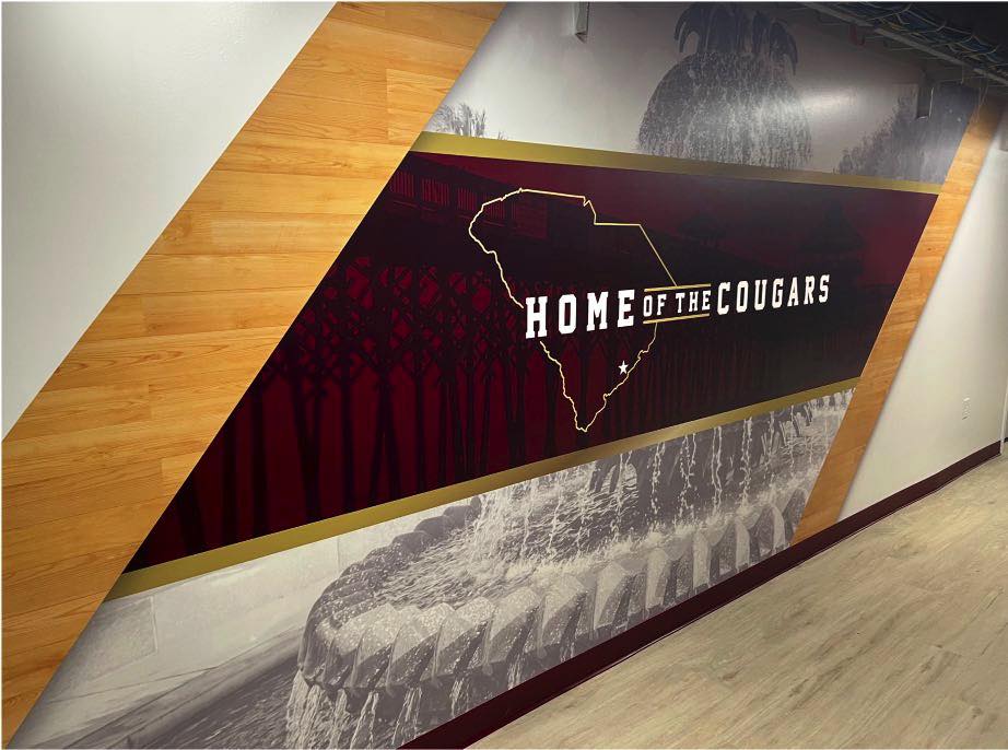 TD Arena renovation